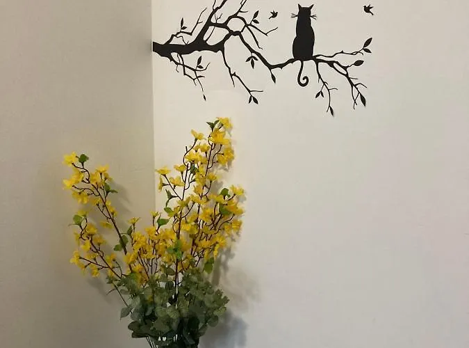 Azuro * סוזופול